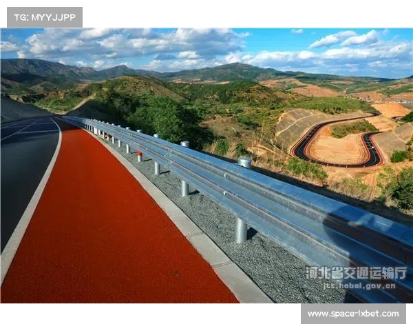 体育领域治理能力现代化加速 完善监管体系